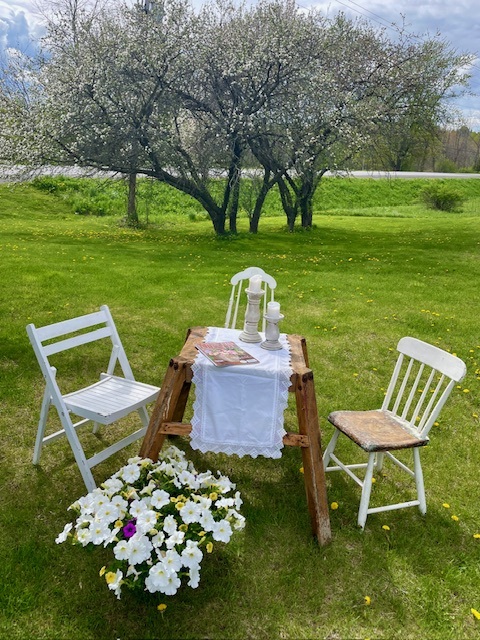 2 White chari and wooden table kept on lawn