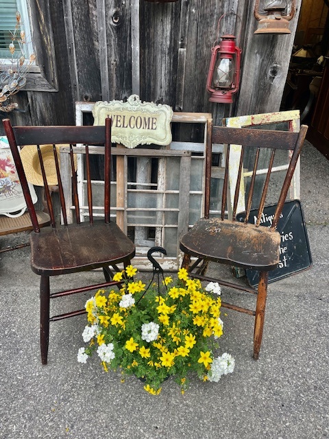 2 brown chair with yellow flowers