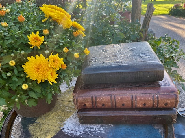 three leather-bound books nevt to a vase of flowers